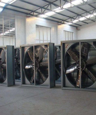 Exhaust Fans